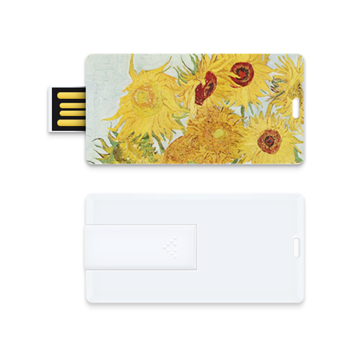 레빗 CX02 슬라이드 카드형 USB 메모리 (4GB) [특판상품]