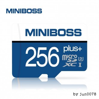 메모리 카드 MINI BOSS 정품 256GB