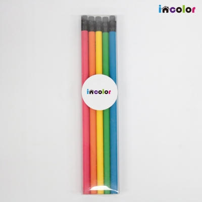 incolor 투명케이스 5본입 무광원형 연필세트