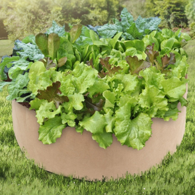 초록가든 베란다 텃밭 부직포 화분 야채 모종화분(90x30cm) (베이지)